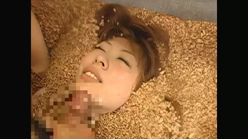 【 AI リマスター版 】女栽培キット (1rct00148h) - 1rct00148hjp-20