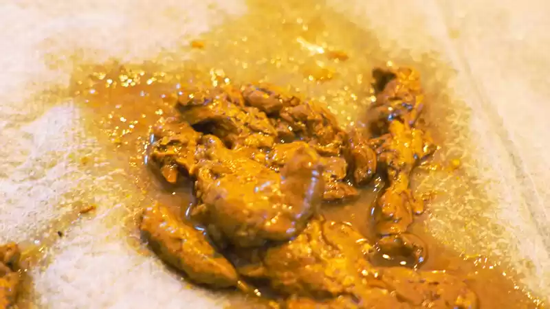 ラストうんち 奈古栞里 (kepa00028) - kepa00028jp-5